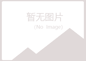 山西晓夏能源有限公司